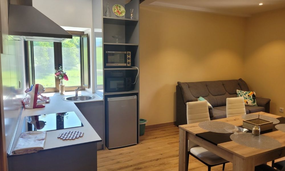 Apartamentos rurales en Entrambasaguas - Apartamento 2